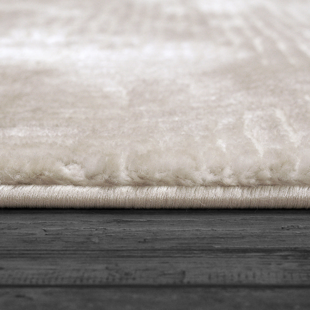 3752-910 Dynamic Rugs Arten