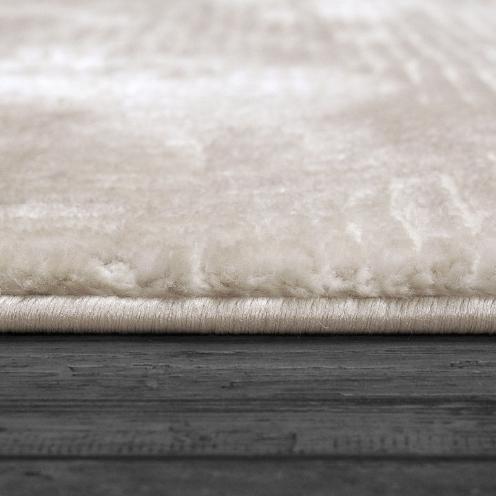 3752-910 Dynamic Rugs Arten