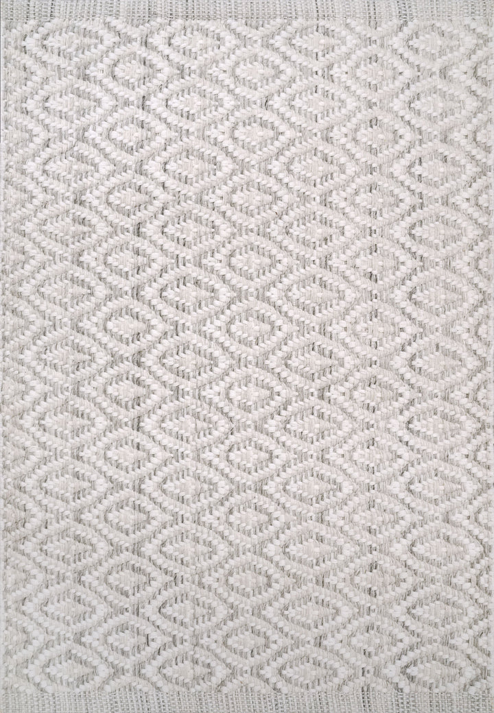2987-109 Dynamic Rugs Allegra