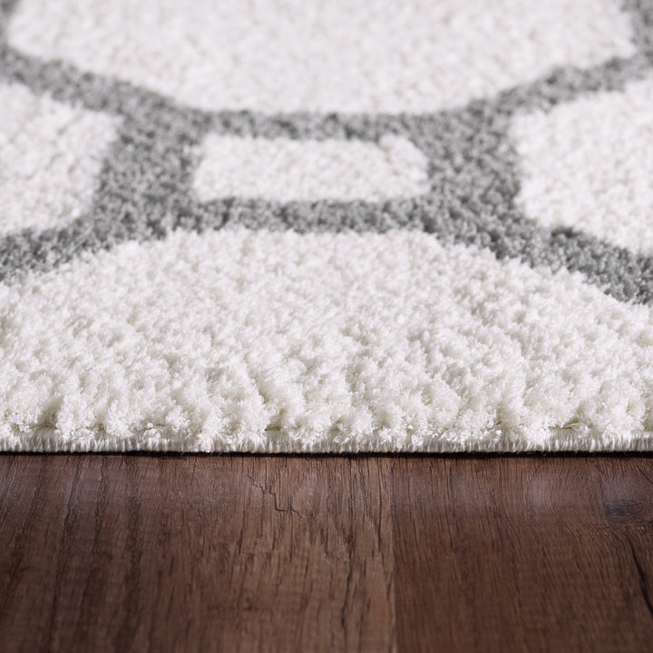 5903-119 Dynamic Rugs Silky Shag