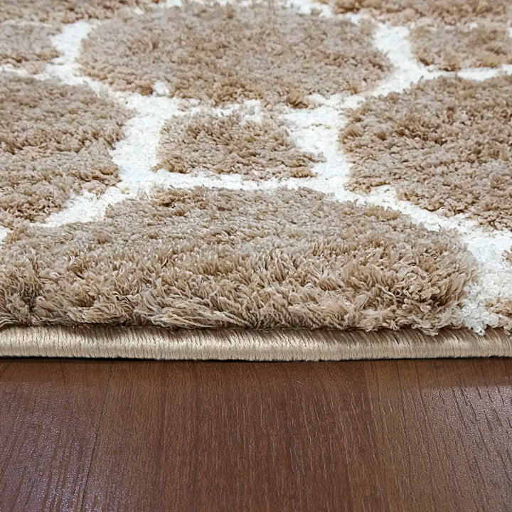 5903-115 Dynamic Rugs Silky Shag