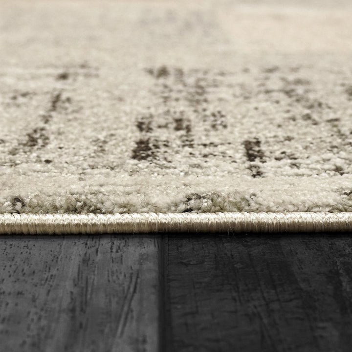 7610-989 Dynamic Rugs Annalise