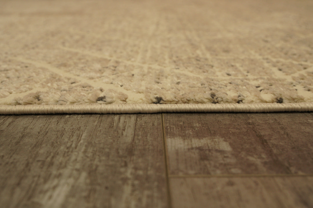 9354-190 Dynamic Rugs Rori