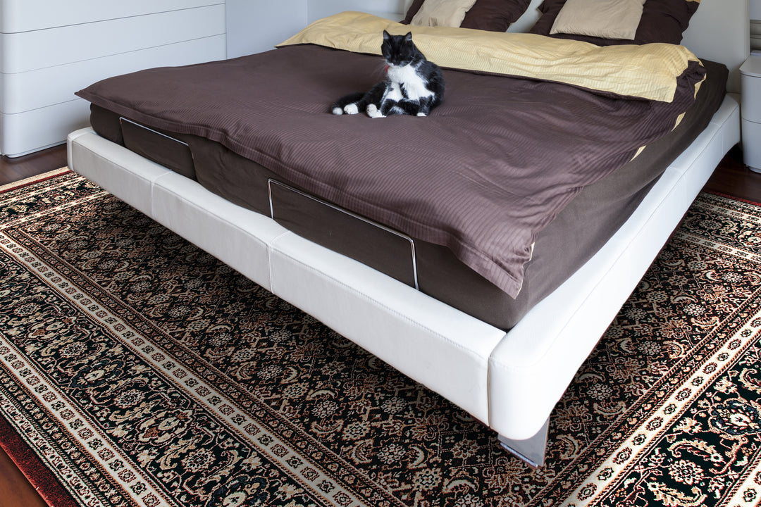 72240-330 Dynamic Rugs Brilliant