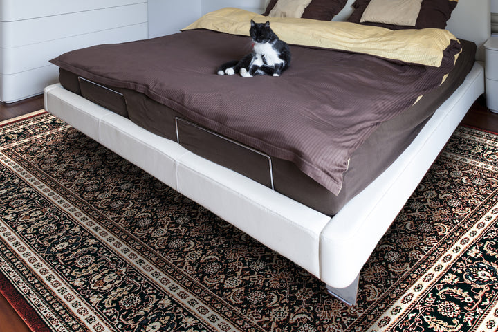 72240-330 Dynamic Rugs Brilliant