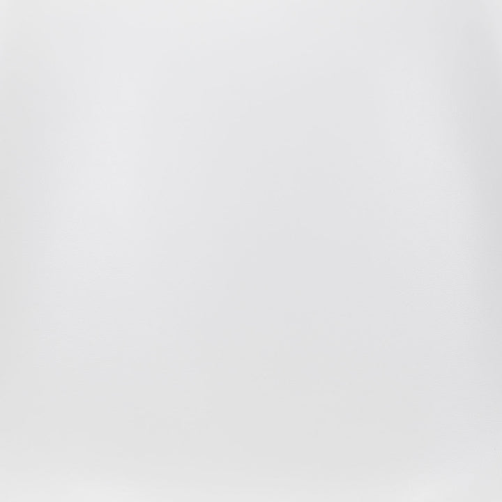 Zuo Ace Dining Chair (Set of 2) White & Silver