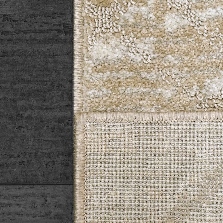 61797-670 Dynamic Rugs Momentum
