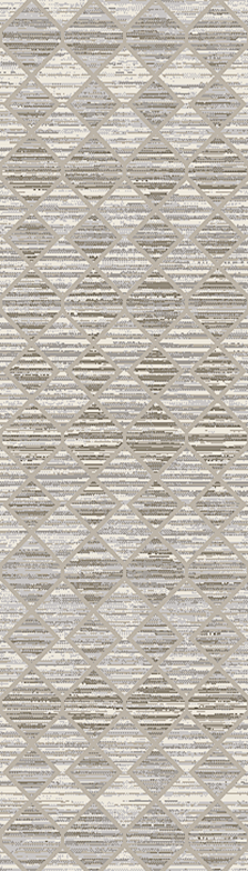 61798-095 Dynamic Rugs Momentum