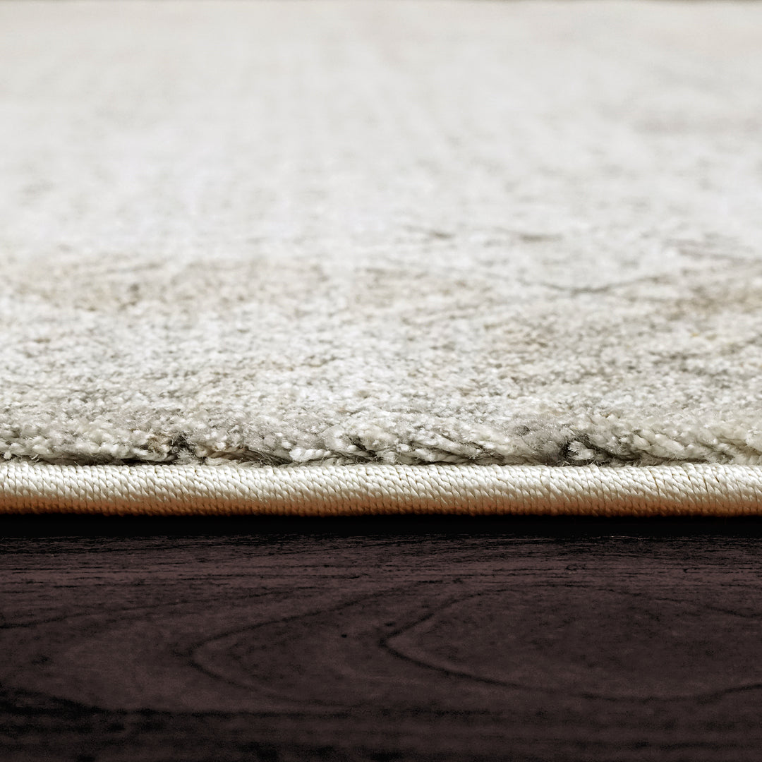 7925-970 Dynamic Rugs Capella