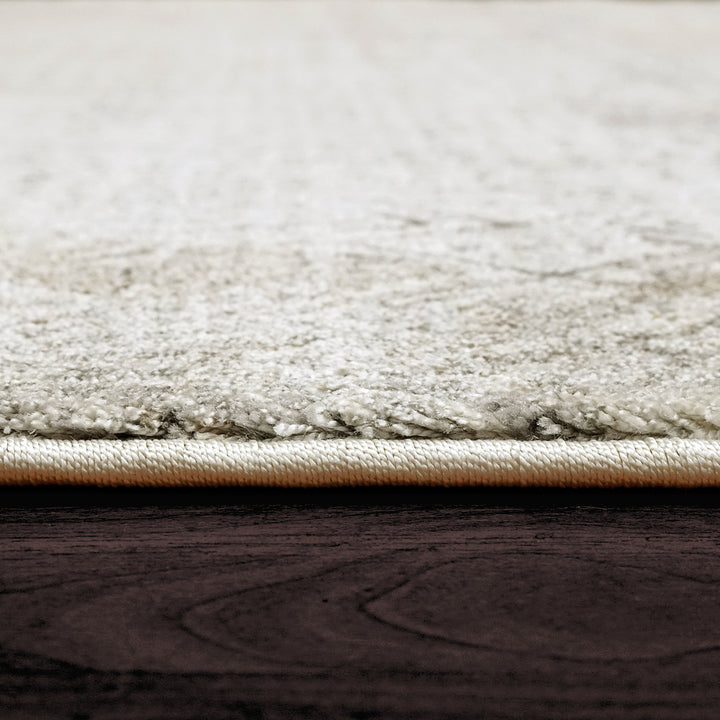 7925-970 Dynamic Rugs Capella