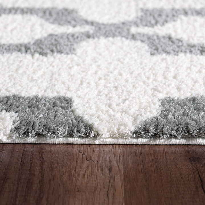 5906-110 Dynamic Rugs Silky Shag