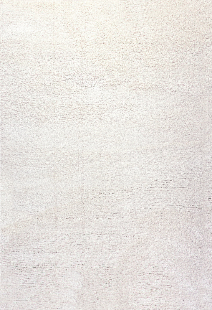 5900-100 Dynamic Rugs Silky Shag