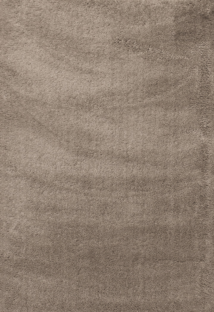 5900-115 Dynamic Rugs Silky Shag
