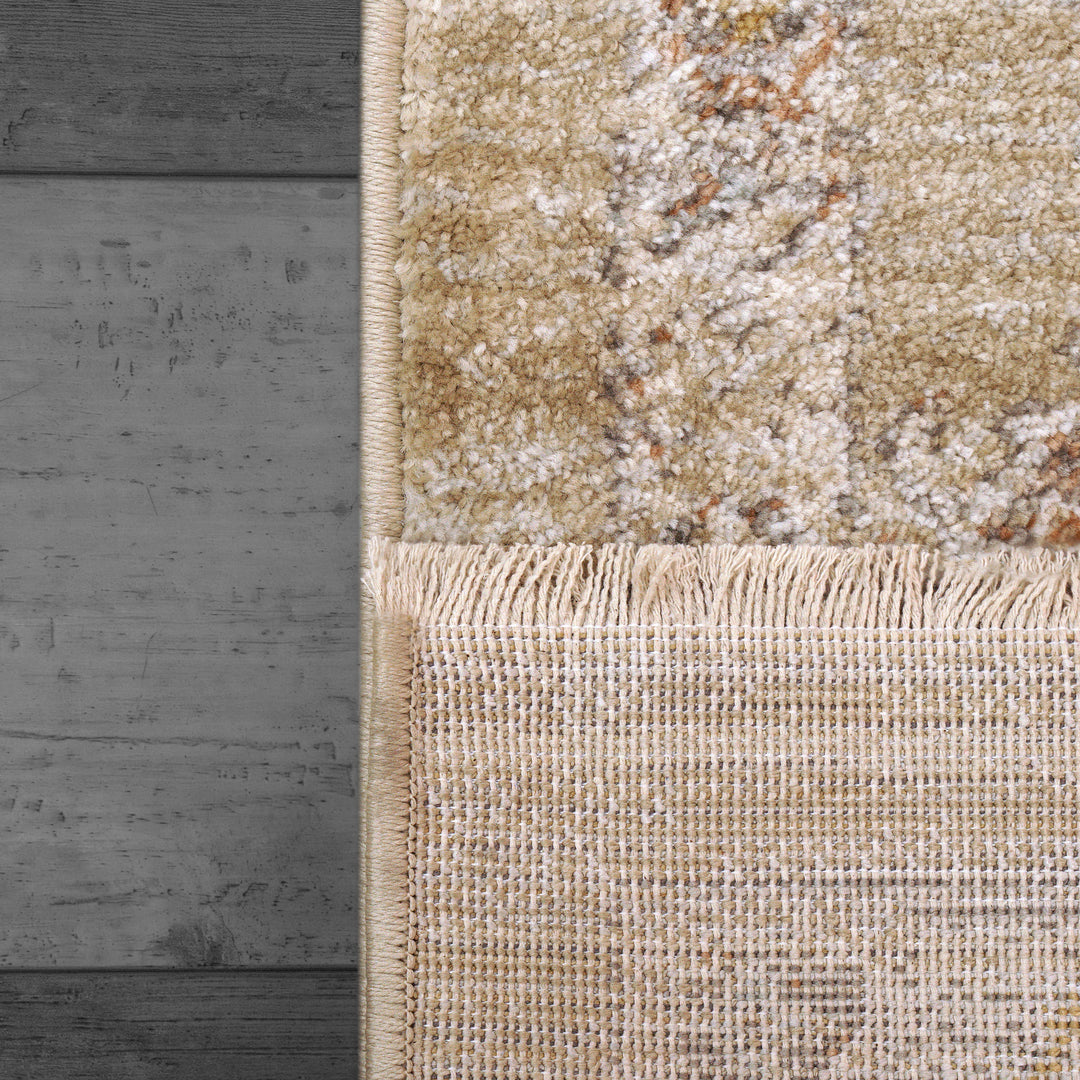 4180-989 Dynamic Rugs Rojin