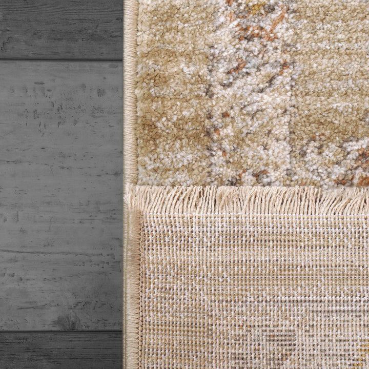 4180-989 Dynamic Rugs Rojin