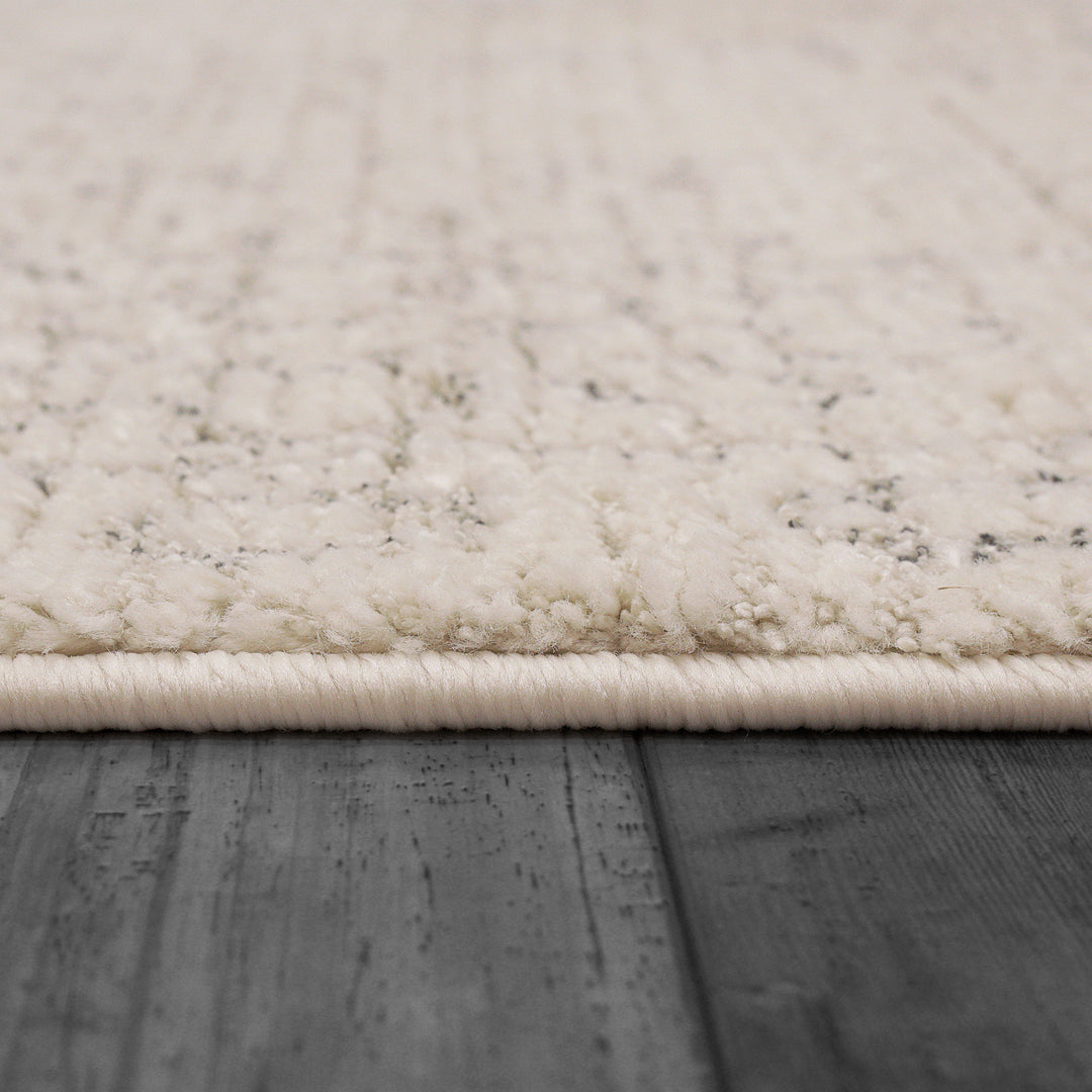 9802-890 Dynamic Rugs Monroe