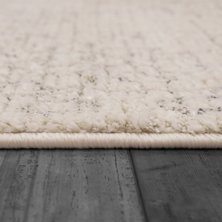 9802-890 Dynamic Rugs Monroe