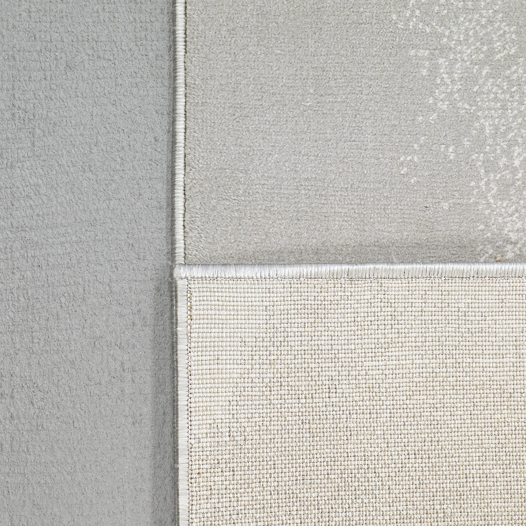 6655-999 Dynamic Rugs Merit