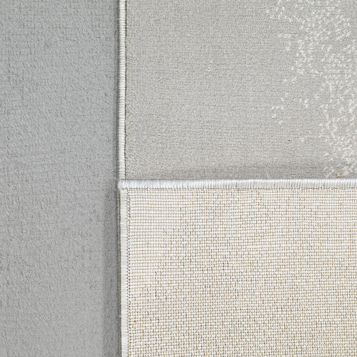 6655-999 Dynamic Rugs Merit