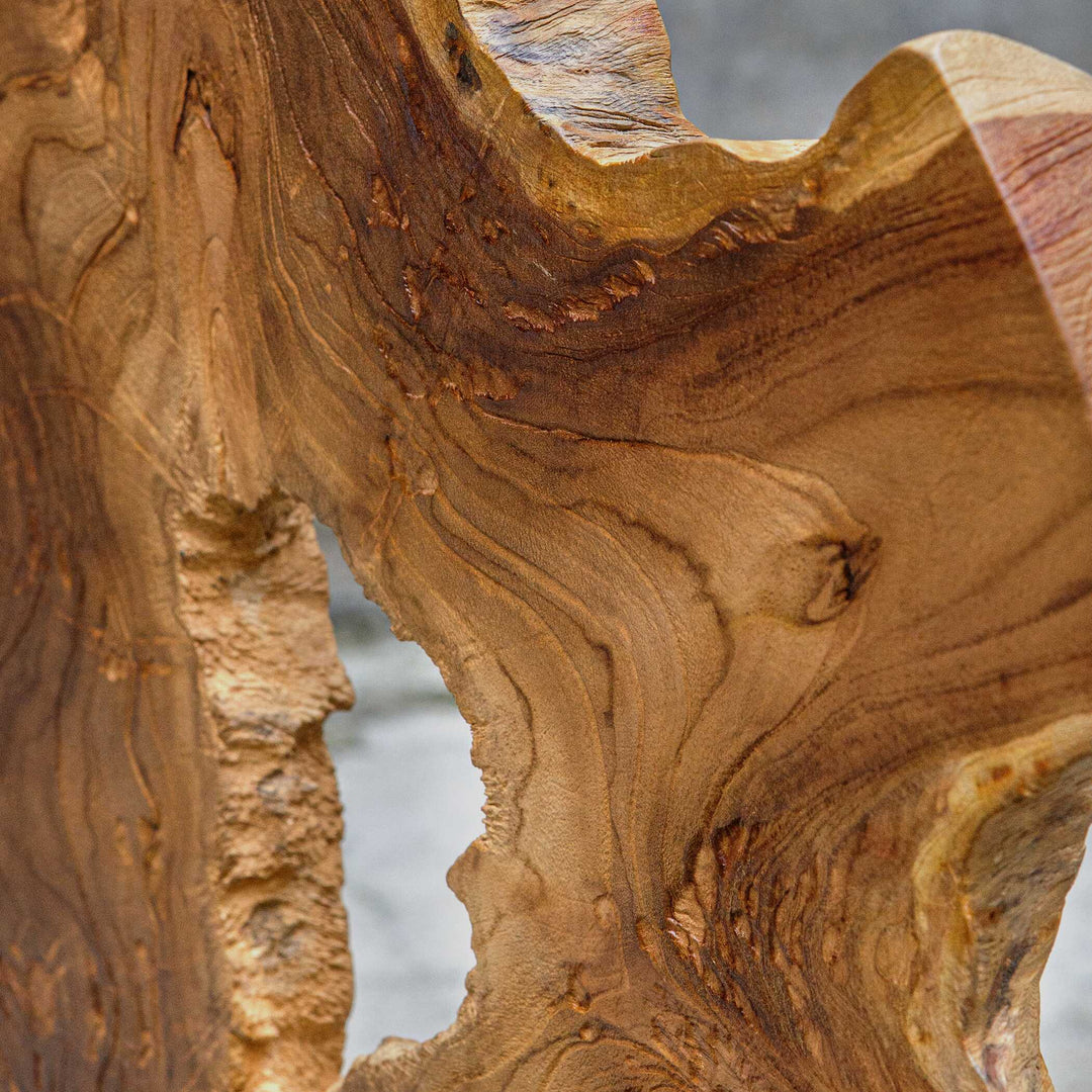 Uttermost Bahati Wood Natural Sculpture