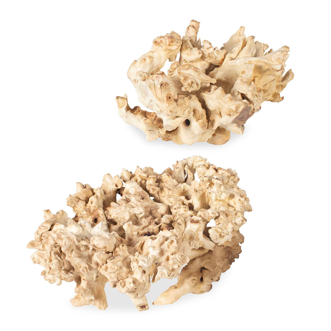 Uttermost Elemental Root Outdoor Sculptures Set/2