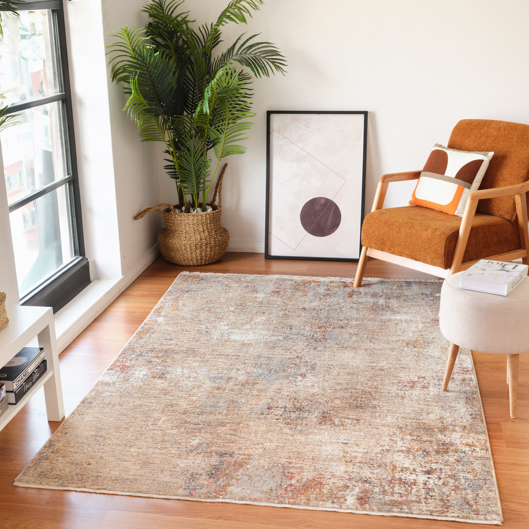 ALB-7 Amer Rugs Albany