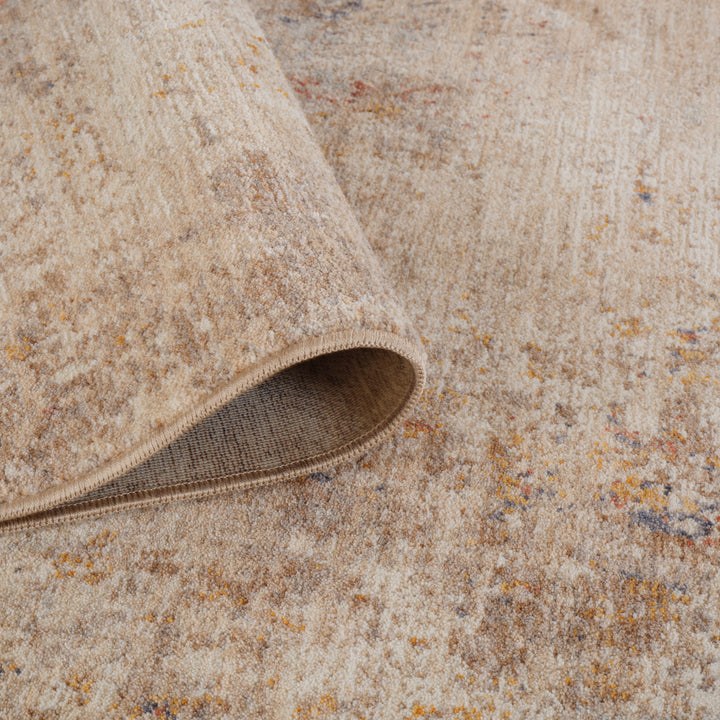 ALB-7 Amer Rugs Albany