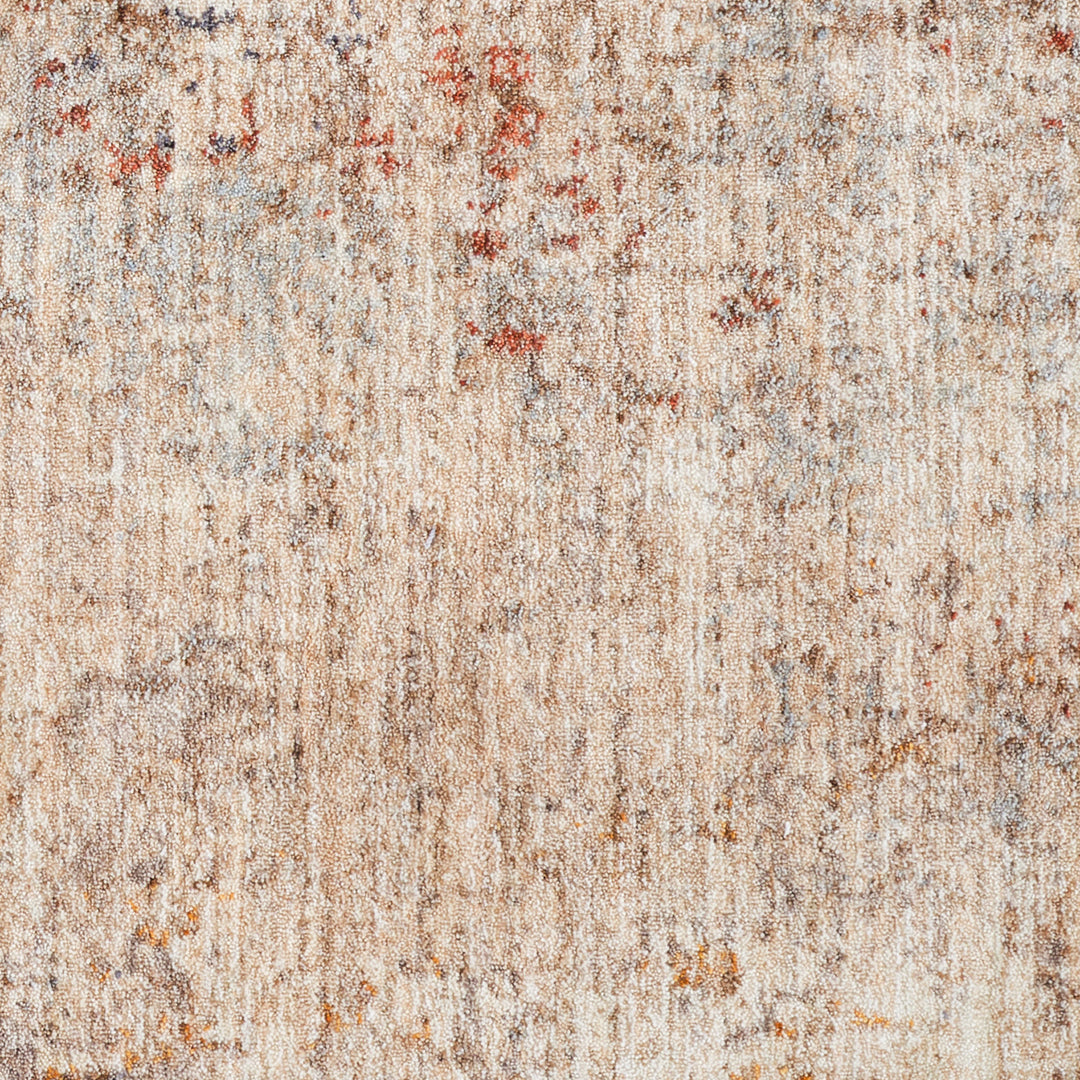 ALB-7 Amer Rugs Albany