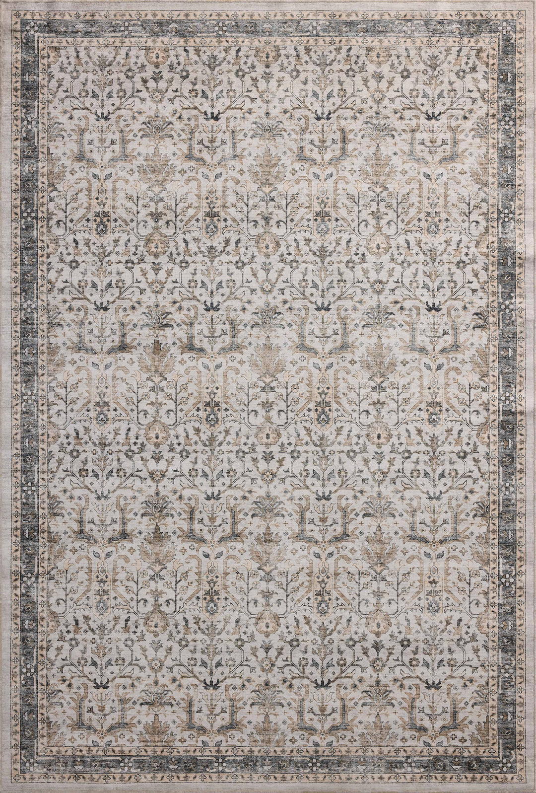 ANS-01 Loloi Anniston