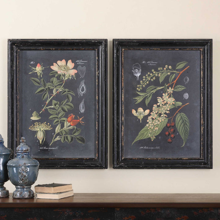Uttermost Midnight Botanicals Wall Art Set/2