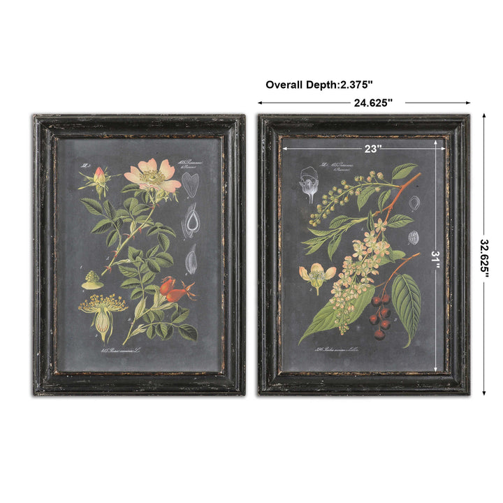 Uttermost Midnight Botanicals Wall Art Set/2