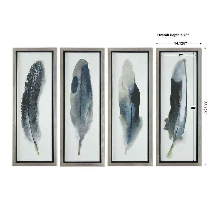 Uttermost Feathered Beauty Prints Set/4