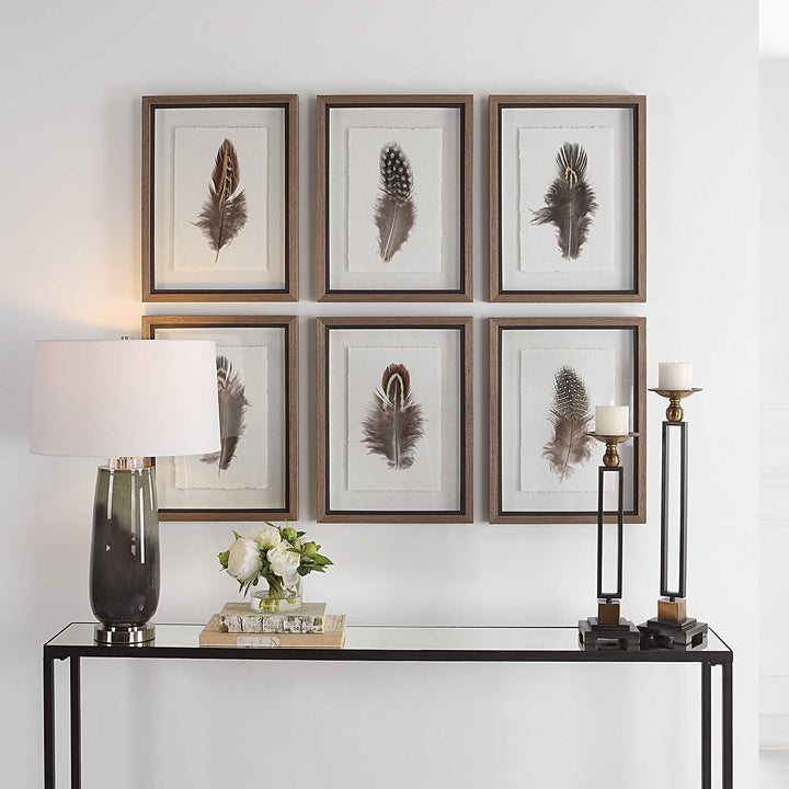 Uttermost Birds Of A Feather Framed Prints Set/6