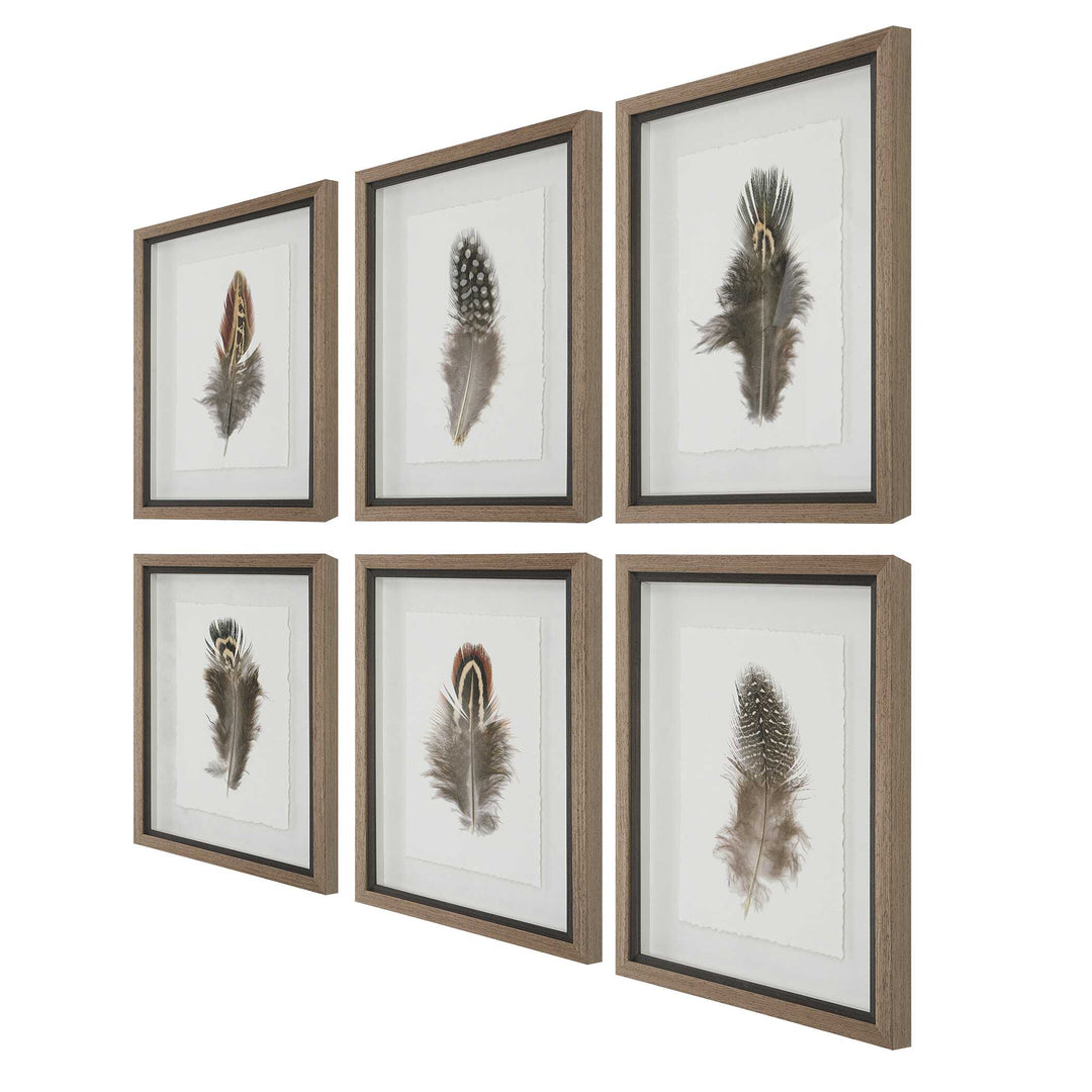 Uttermost Birds Of A Feather Framed Prints Set/6