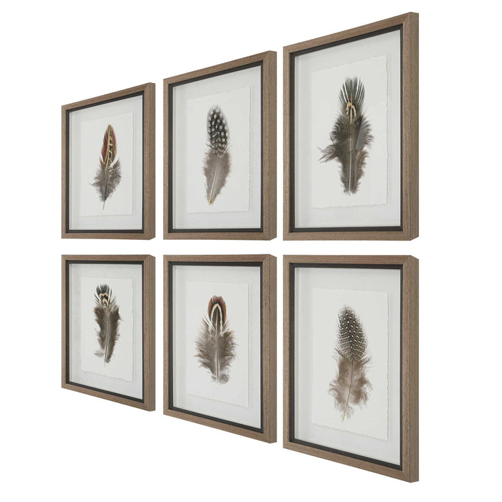 Uttermost Birds Of A Feather Framed Prints Set/6