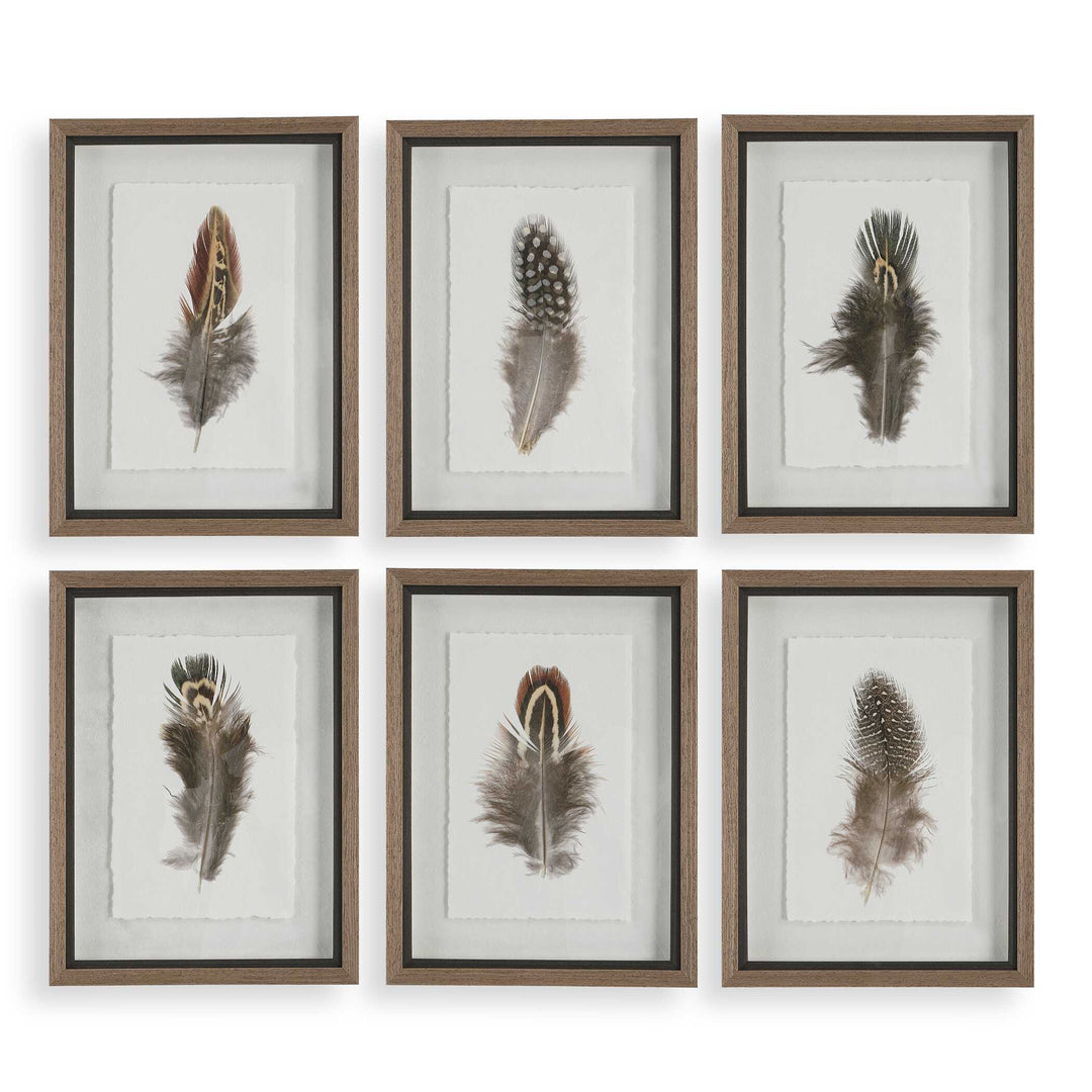 Uttermost Birds Of A Feather Framed Prints Set/6