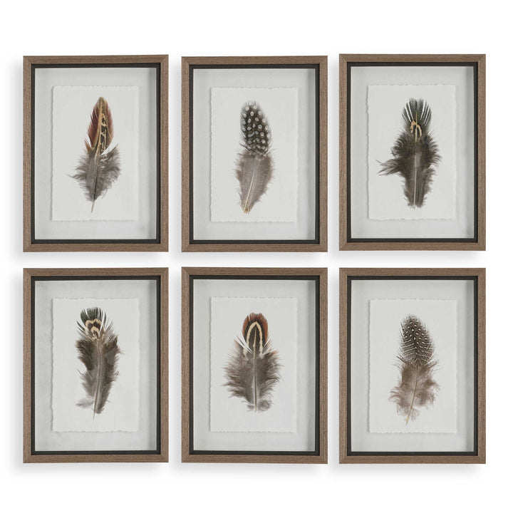 Uttermost Birds Of A Feather Framed Prints Set/6