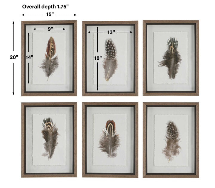 Uttermost Birds Of A Feather Framed Prints Set/6