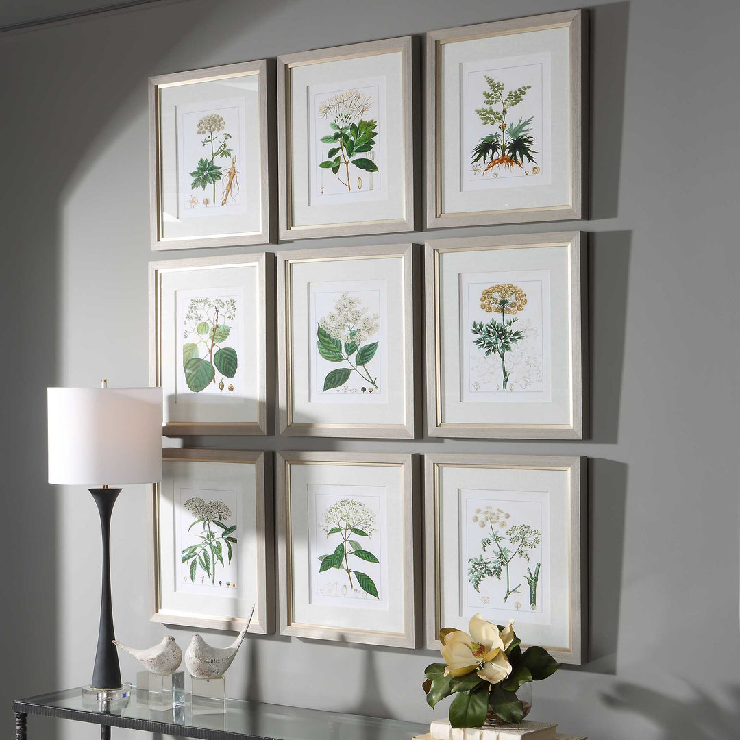 Uttermost Antique Botanicals Framed Prints Set/9