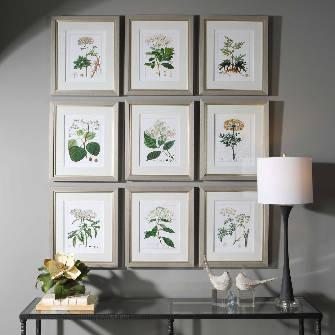 Uttermost Antique Botanicals Framed Prints Set/9