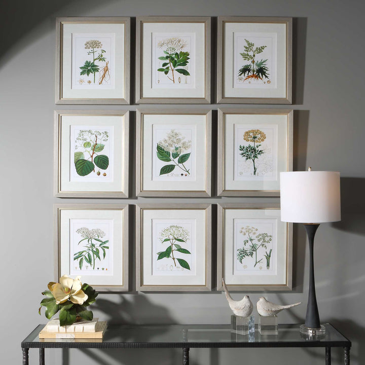 Uttermost Antique Botanicals Framed Prints Set/9