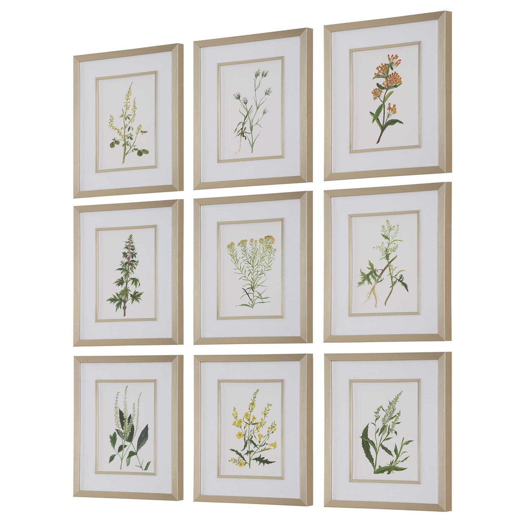 Uttermost Botanical Flowers Framed Prints Set/9