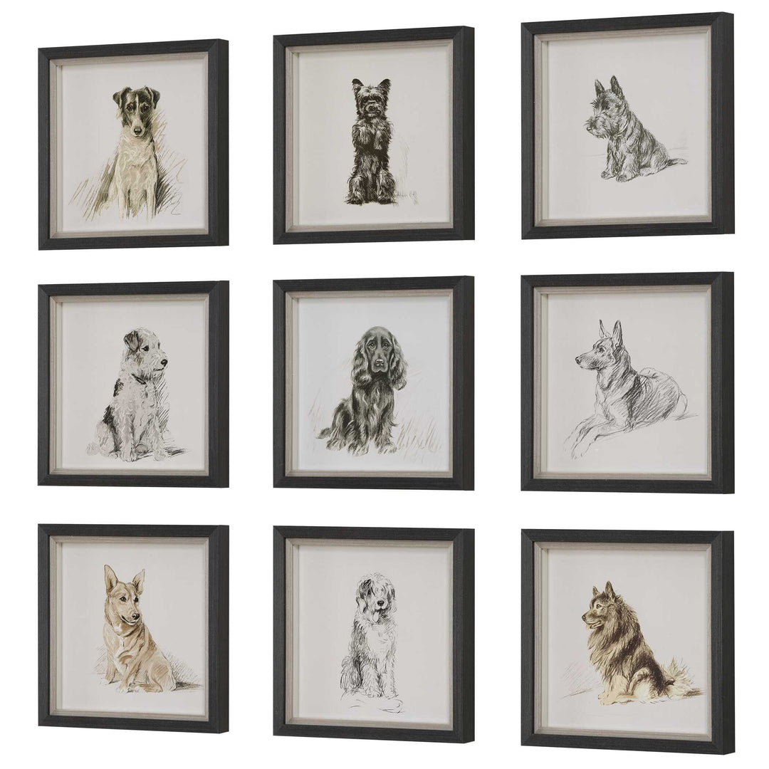 Uttermost Loyal Companion Framed Dog Prints Set/9