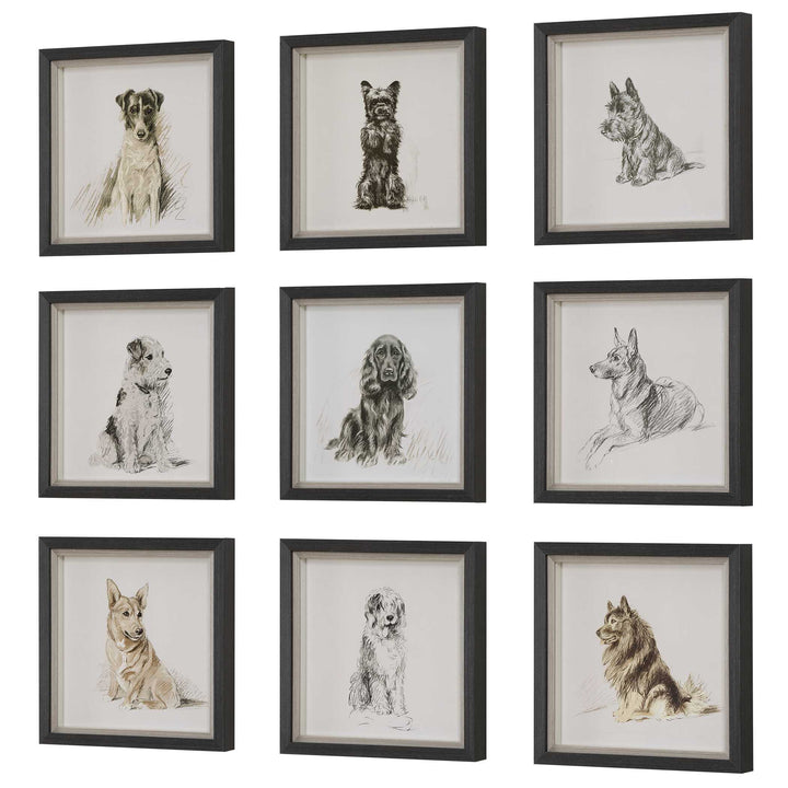 Uttermost Loyal Companion Framed Dog Prints Set/9