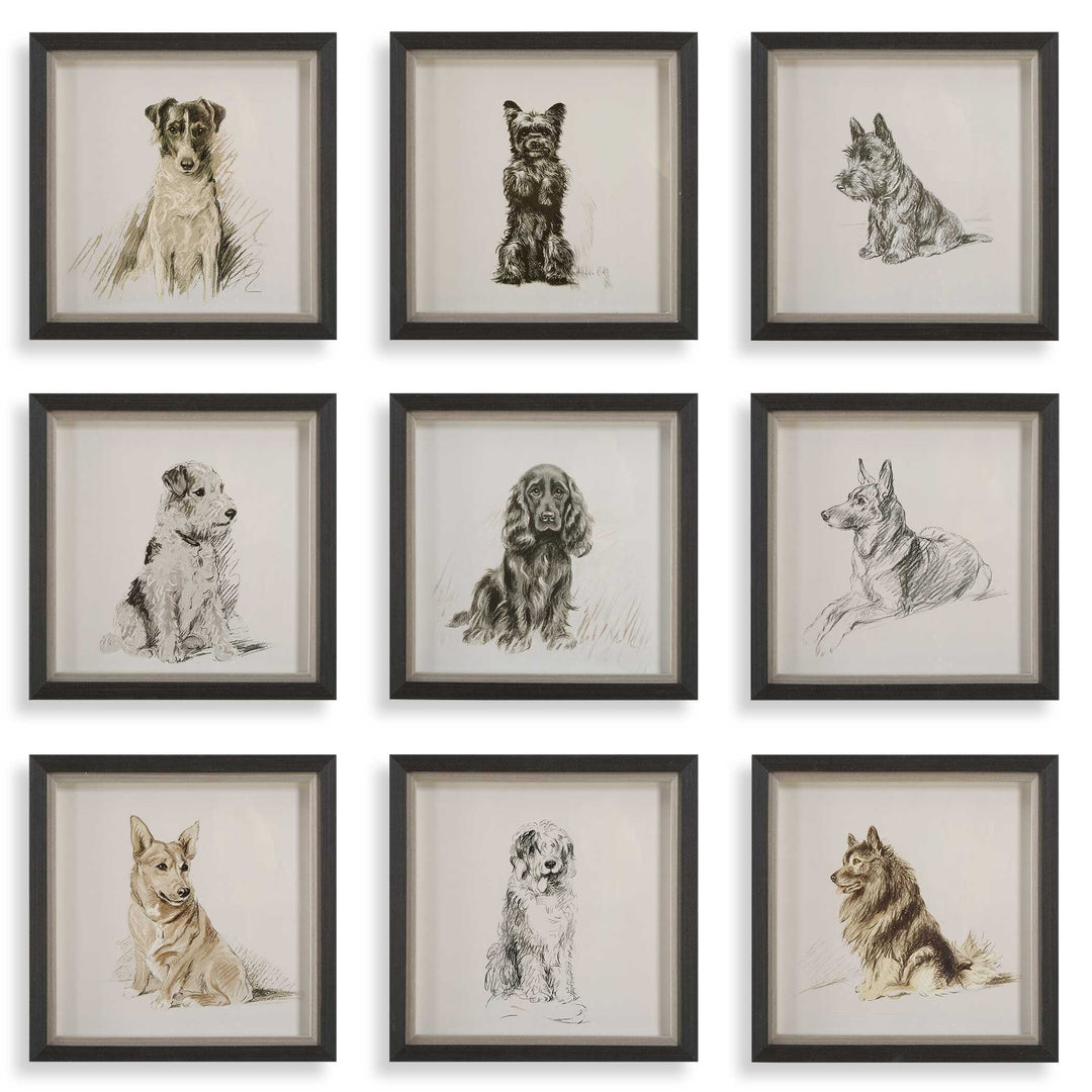 Uttermost Loyal Companion Framed Dog Prints Set/9