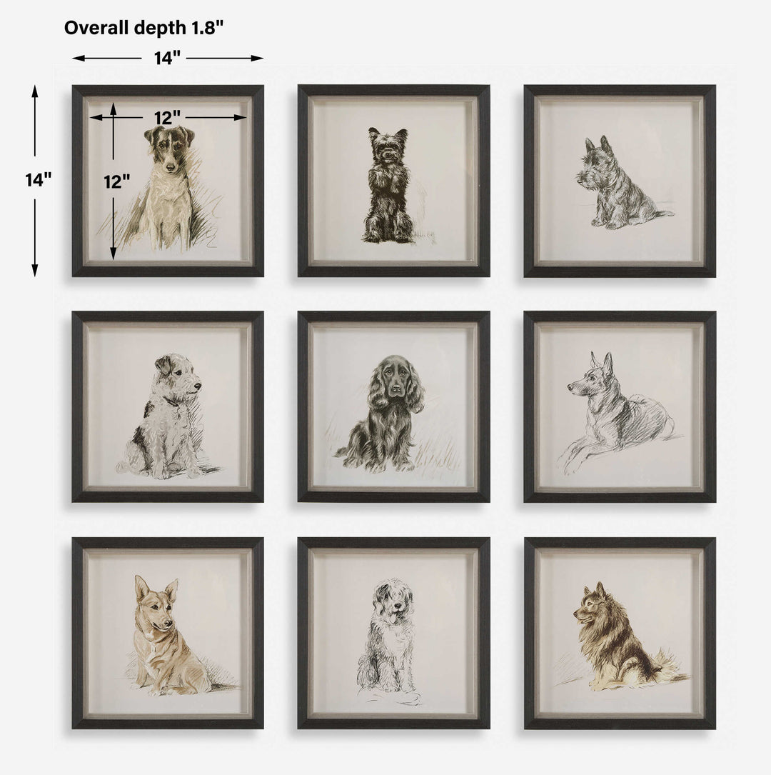 Uttermost Loyal Companion Framed Dog Prints Set/9