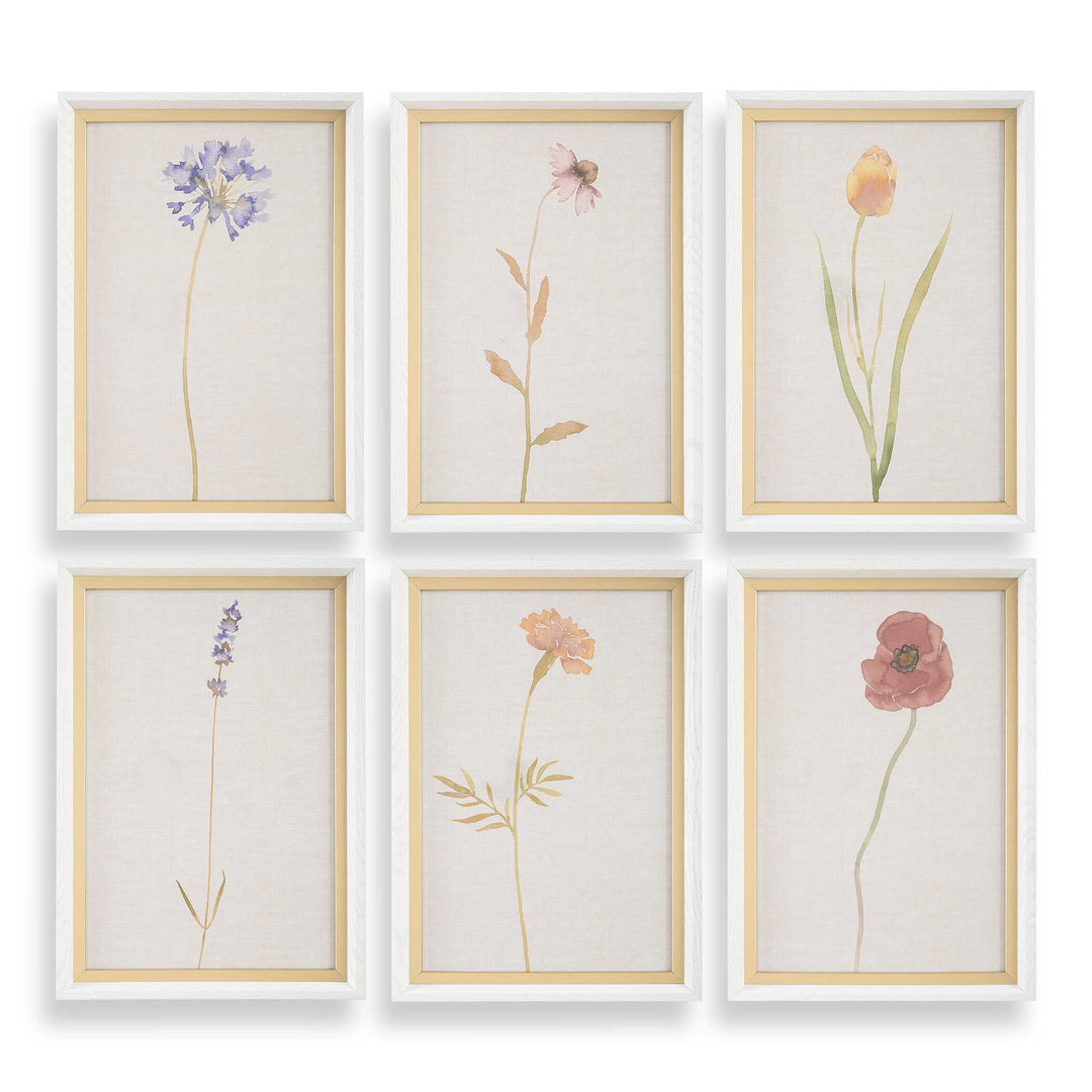 Uttermost Wild Flourish Framed Floral Prints Set/6