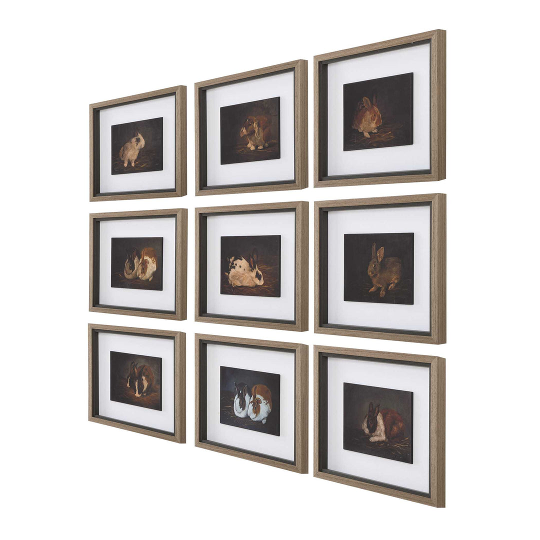 Uttermost Resting Bunny Framed Prints Set/9