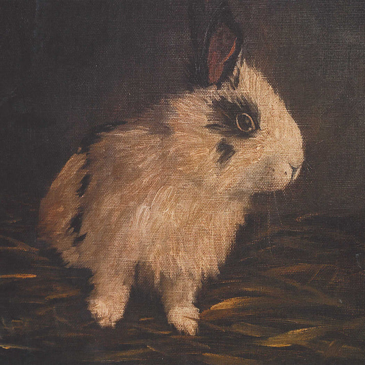 Uttermost Resting Bunny Framed Prints Set/9