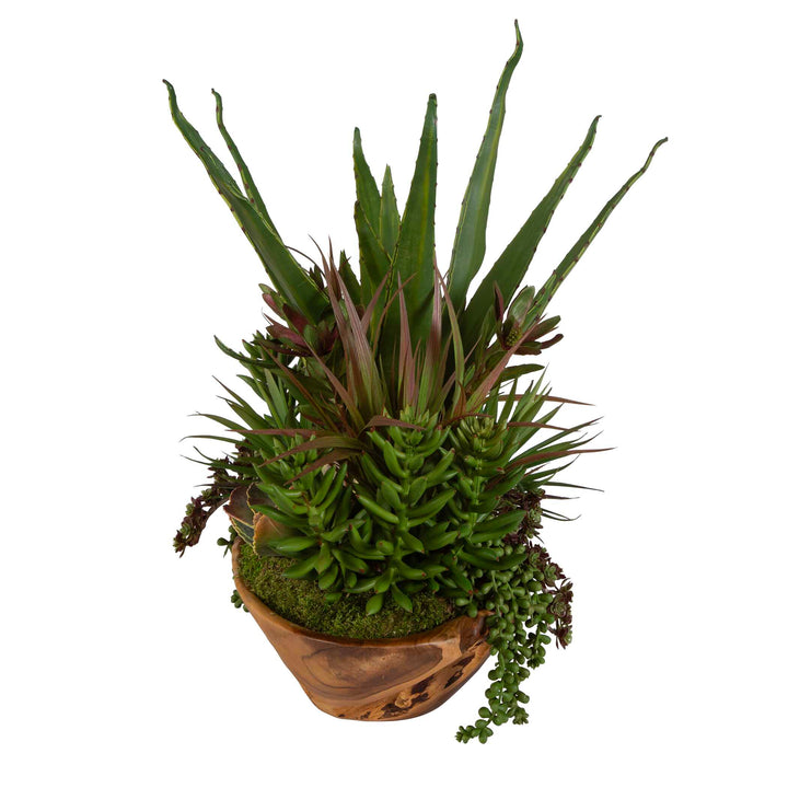 Uttermost Salar Succulents In Teak Bowl